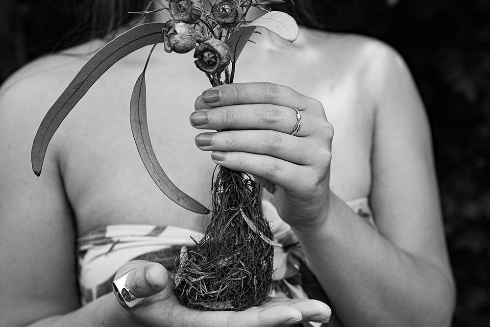 Photo by Irihipeti Waretini - Bella Waru hands holding plant (black and white)
