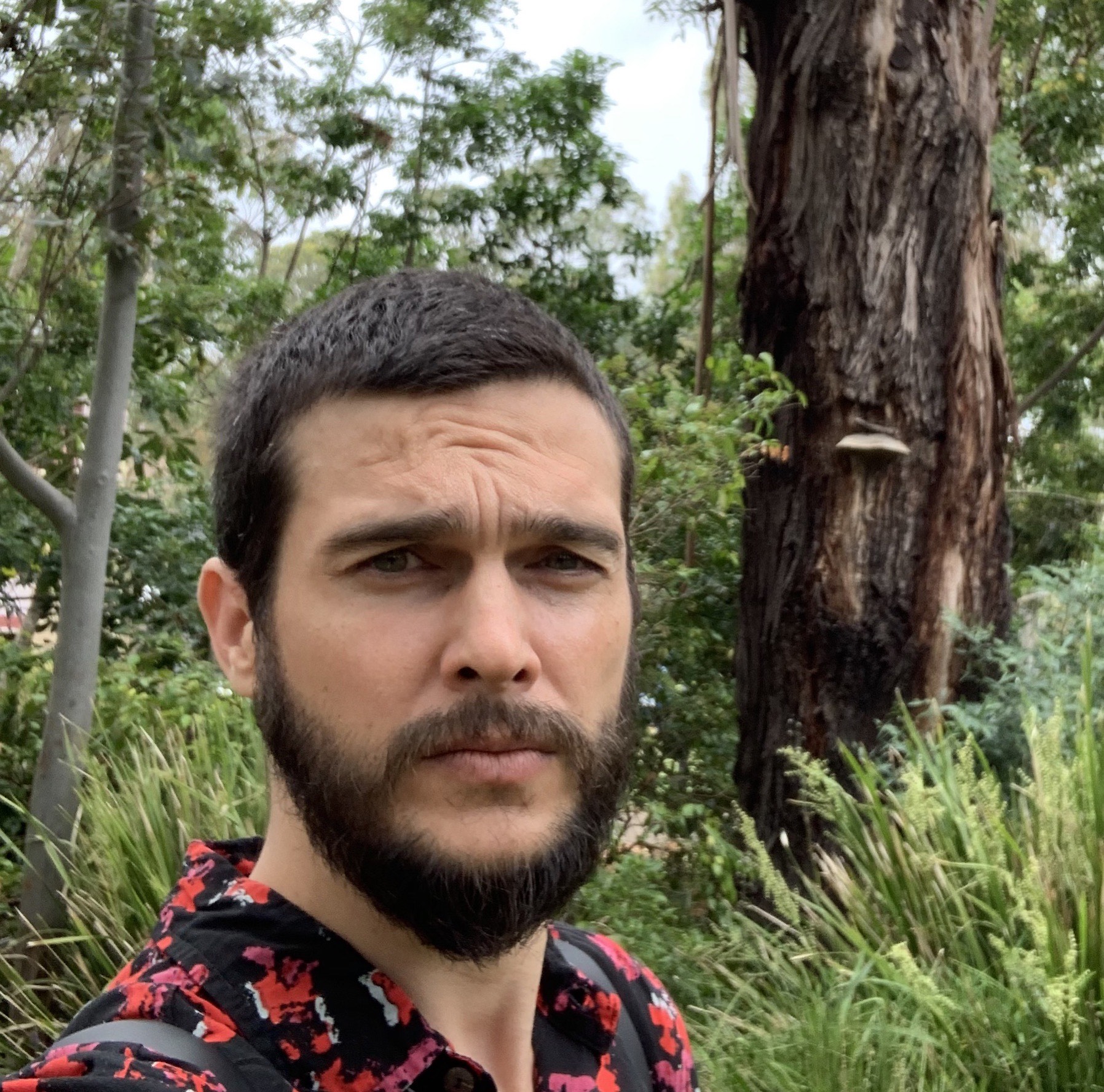 A headshot of the writer, Luke Patterson. Luke has brown hair and a brown beard and is wearing a black and read collared shirt. He is looking straight at the camera. He is surrounded by lush green forest.